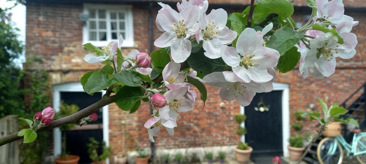 Plumpton Barn Chalet Ashford (Kent)